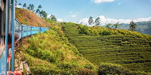 Nuwara Eliya